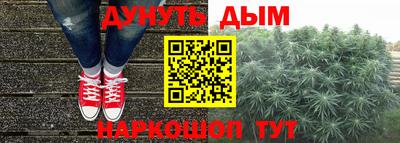 дмт Гатчина