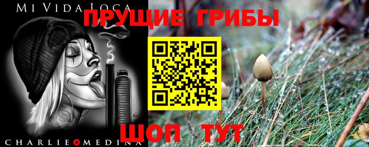 Кисловодск  Псилоцибиновые грибы ЛСД  Вход с VPN 